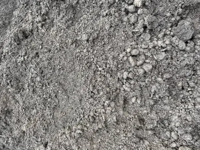 GO Organics Soils vs Regular Soils: A Comparison Guide