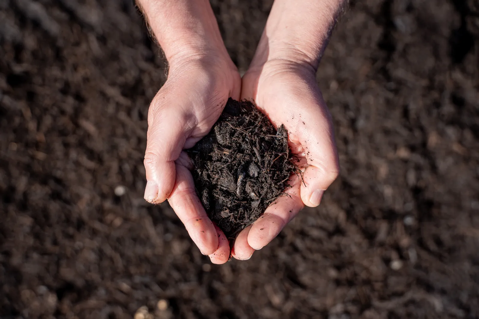 Mulch