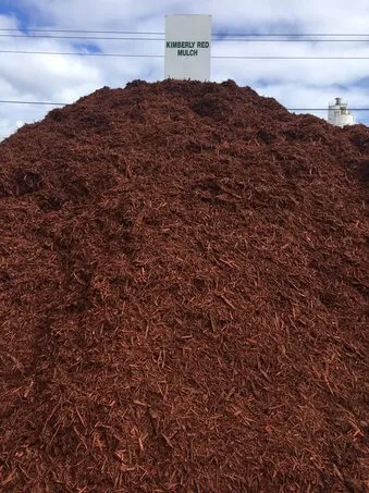 Mulching Trees You've Planted in Perth's Sandy Soil