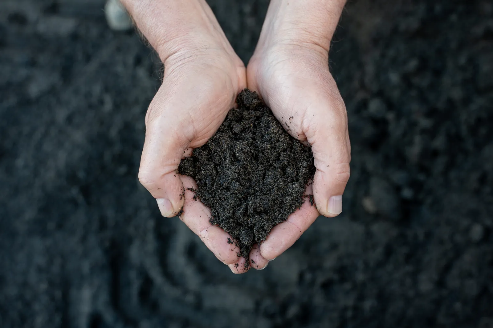 Soils