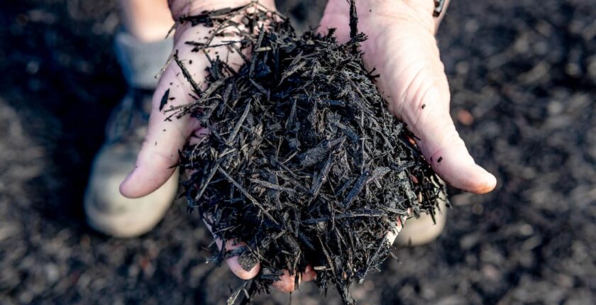 Black mulch used to stop weeds growing in garden