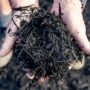 Black mulch used to stop weeds growing in garden